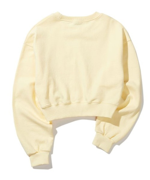 BITTER CELLS（ビターセルズ）の「BITTER CELLS／シマリスプルオーバー(ウラケ) 2193587（スウェット・レディース・ナチュラル/ライトグレー/ネイビー・MEDIUM/SMALL）」の22枚目の写真