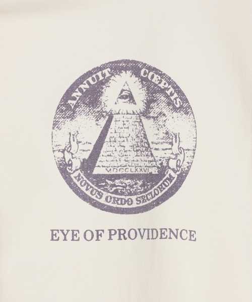 JOURNAL STANDARD relume(ジャーナルスタンダード レリューム)の「【NATION BRANKS / ネーションブランクス】プリントロングスリーブTシャツ(Tシャツ/カットソー・メンズ・アイボリー/コバルトブルー/ベージュ系その他/チャコールグレー・LARGE/MEDIUM)」の15枚目の写真