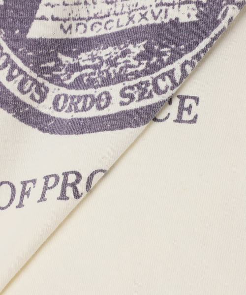 JOURNAL STANDARD relume(ジャーナルスタンダード レリューム)の「【NATION BRANKS / ネーションブランクス】プリントロングスリーブTシャツ(Tシャツ/カットソー・メンズ・アイボリー/コバルトブルー/ベージュ系その他/チャコールグレー・LARGE/MEDIUM)」の5枚目の写真