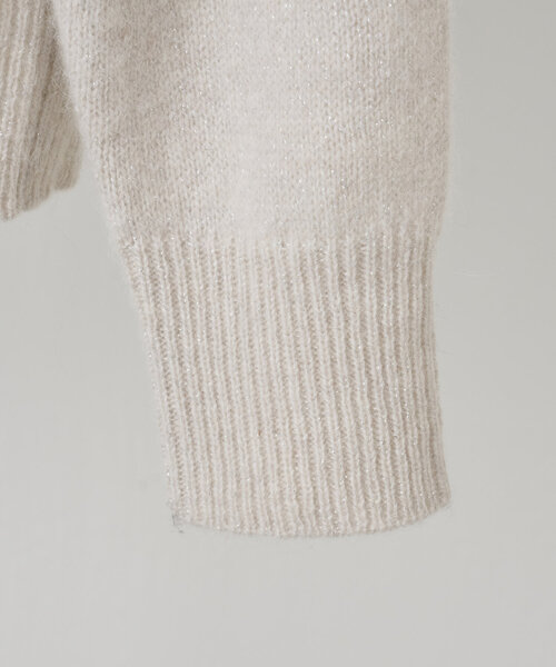 BEARDSLEY（ビアズリー）の「Vネックラメプルオーバー（ニット/セーター・レディース・ダークグレー/ベージュ・FREE）」の19枚目の写真