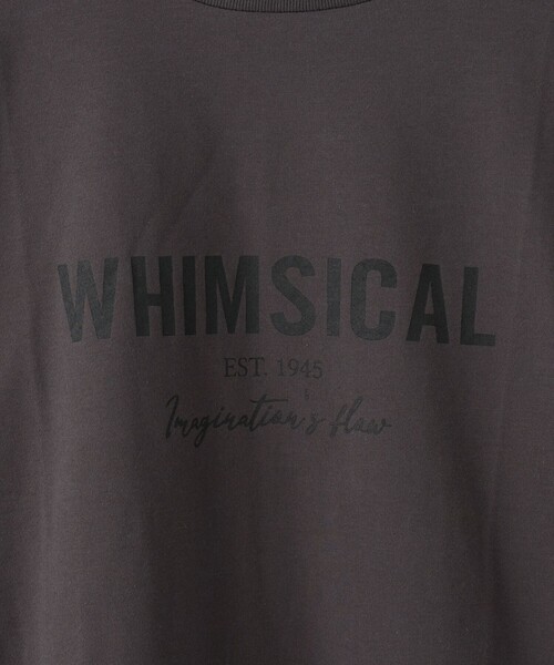coen(コーエン)の「【WELLTECT】天竺ロゴプリントロングスリーブTシャツ(Tシャツ/カットソー・レディース・ダークグレー/オフホワイト/ブラック・L/M)」の6枚目の写真