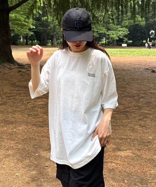 Franklin Climbing（フランクリンクライミング）の「【Franklin Climbing】 バックプリントフェスロゴTEE　多色柄（Tシャツ/カットソー・メンズ・ピンク/ライトグレー/オフホワイト・LARGE/MEDIUM）」の17枚目の写真