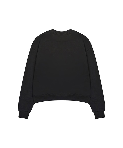 LUVISTRUE(ラヴイズトゥルー)の「GT LVTR PATCH SWEATSHIRT(スウェット・レディース・ブラック/グレー/ネイビー・FREE)」の17枚目の写真