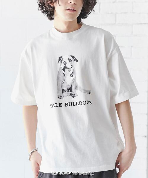 coen（コーエン）の「YALE（イェール）別注プリントTシャツ（Tシャツ/カットソー・メンズ・ホワイト/グレー・XL/S/M/L）」の2枚目の写真