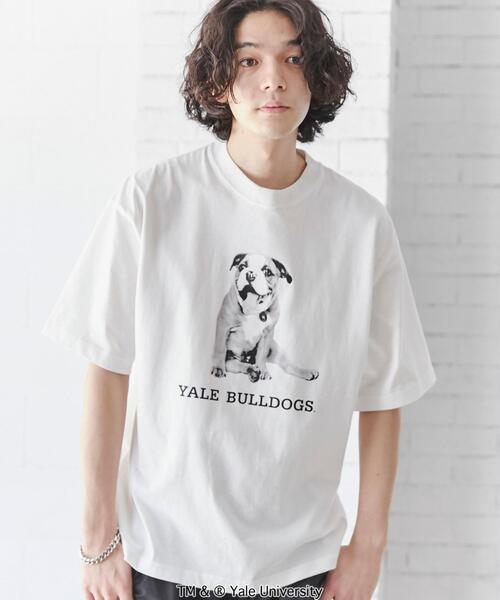 coen（コーエン）の「YALE（イェール）別注プリントTシャツ（Tシャツ/カットソー・メンズ・ホワイト/グレー・XL/S/M/L）」の3枚目の写真