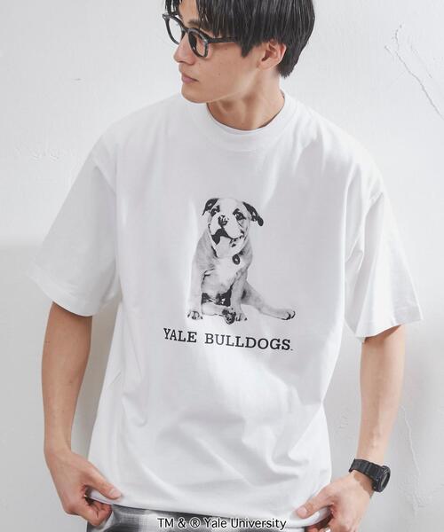 coen（コーエン）の「YALE（イェール）別注プリントTシャツ（Tシャツ/カットソー・メンズ・ホワイト/グレー・XL/S/M/L）」の9枚目の写真