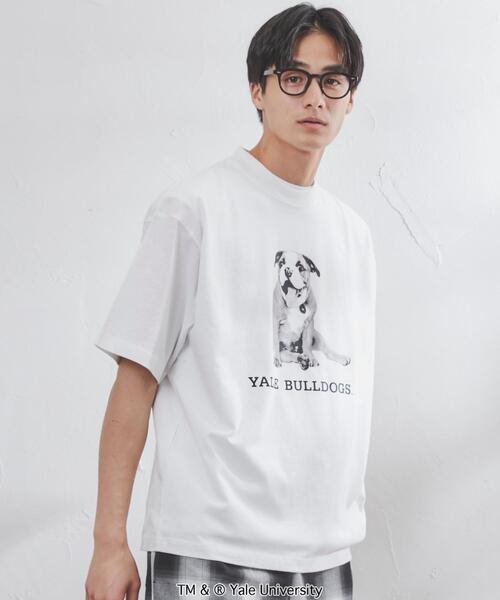 coen（コーエン）の「YALE（イェール）別注プリントTシャツ（Tシャツ/カットソー・メンズ・ホワイト/グレー・XL/S/M/L）」の13枚目の写真