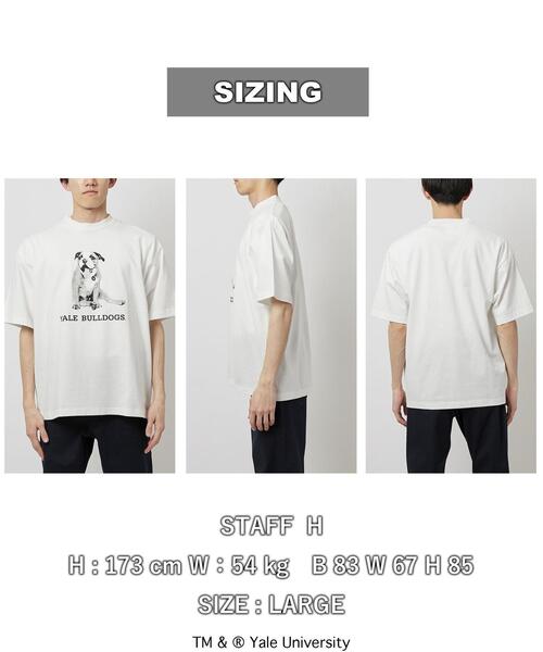 coen（コーエン）の「YALE（イェール）別注プリントTシャツ（Tシャツ/カットソー・メンズ・ホワイト/グレー・XL/S/M/L）」の16枚目の写真