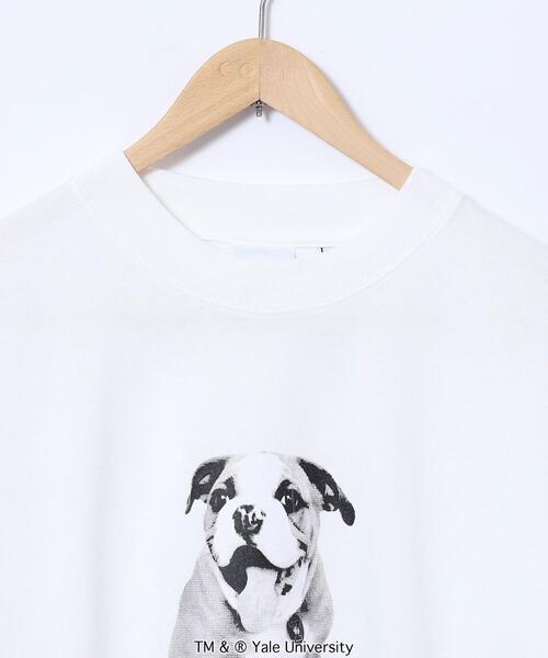 coen（コーエン）の「YALE（イェール）別注プリントTシャツ（Tシャツ/カットソー・メンズ・ホワイト/グレー・XL/S/M/L）」の18枚目の写真
