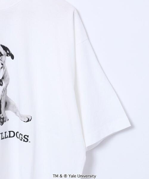 coen（コーエン）の「YALE（イェール）別注プリントTシャツ（Tシャツ/カットソー・メンズ・ホワイト/グレー・XL/S/M/L）」の19枚目の写真