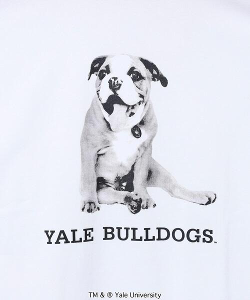 coen（コーエン）の「YALE（イェール）別注プリントTシャツ（Tシャツ/カットソー・メンズ・ホワイト/グレー・XL/S/M/L）」の22枚目の写真