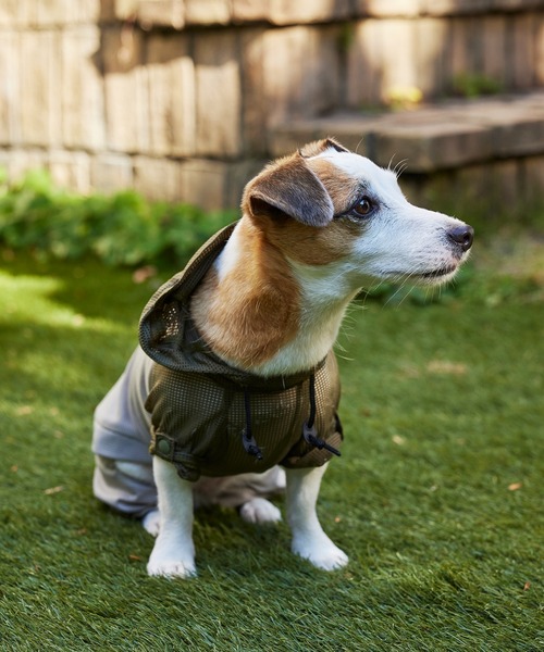 MANDARINE BROTHERS(マンダリンブラザーズ)の「インセクトシールドメッシュスーツ/小型犬(ペットウェア・レディース・イエロー/カーキ・M/MD/L)」の8枚目の写真