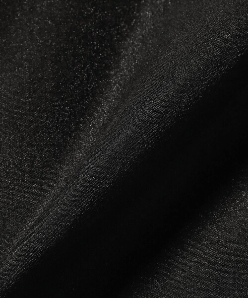 Ray BEAMS（レイビームス）の「シアー クロップドシャツ（シャツ/ブラウス・レディース・ブラック/ピンク/ベージュ・ONE SIZE）」の5枚目の写真