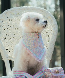 fafa（フェフェ）の「VIOLET LOU | ドッグカラー（ペットウェア）」