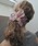 GOLDY�i�S�[���f�B�j�́u�X�t�B�A�[ �V�A�[ �r�b�O �V���V���i�V���V���j�v�b�p�[�v���n2