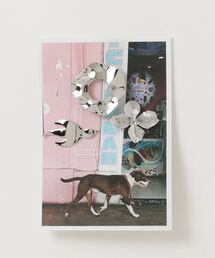 LY(GC)(LY)Pins sets(obW)