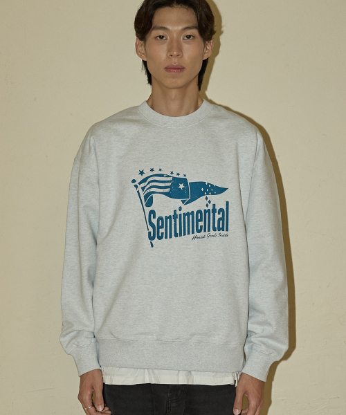 CAMEL WORK(キャメルワーク)の「NO.001 センチメンタルナイトスウェットシャツ(アッシュグレー)(スウェット・メンズ・その他・MEDIUM/LARGE/X-LARGE)」の1枚目の写真