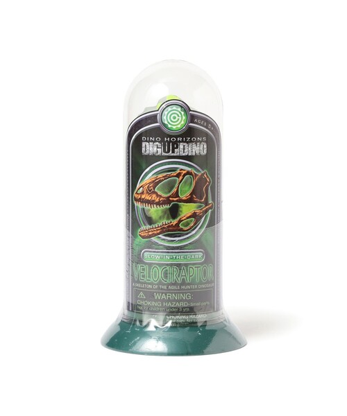 bpr BEAMS（ビーピーアール ビームス ）の「EOS TUBE SKELTON（フィギュア・レディース・その他/その他1/その他2/その他3・ONE SIZE）」の6枚目の写真