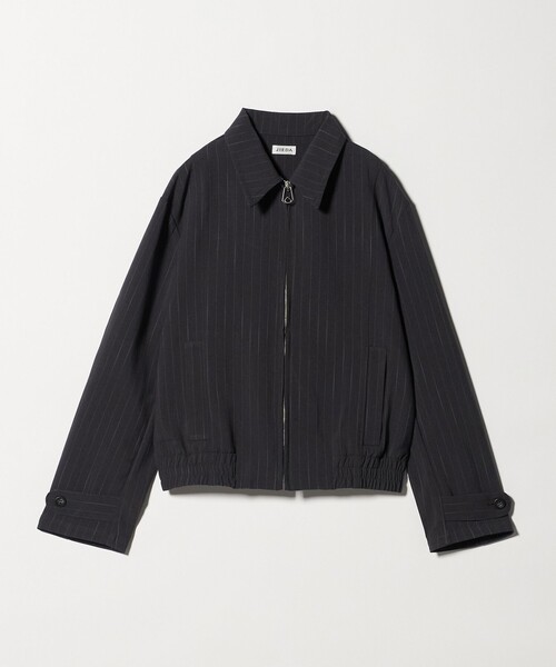 Jieda（ジエダ）の「＜JIEDA＞ストライプ ジップ ジャケット（ブルゾン・メンズ・ネイビー/ダークグレー・1/2）」の2枚目の写真