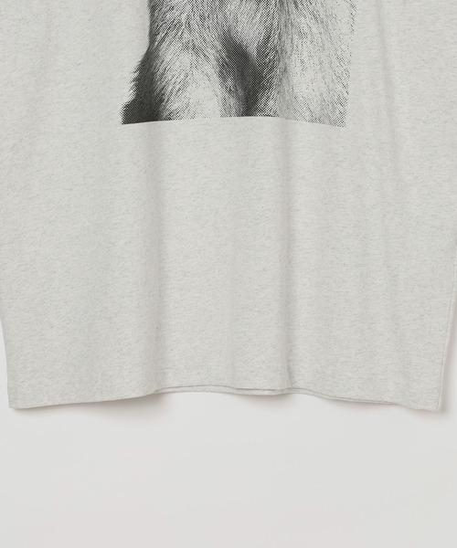 PBLIM(ページボーイリム)の「《UNISEX》シャウトアニマルT(Tシャツ/カットソー・レディース・グレー系2/グレー系1/ホワイト系2/ホワイト系1・FREE)」の9枚目の写真