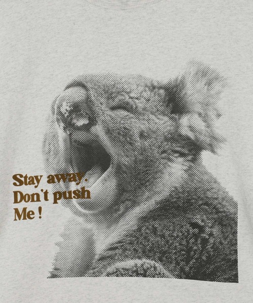 PBLIM(ページボーイリム)の「《UNISEX》シャウトアニマルT(Tシャツ/カットソー・レディース・グレー系2/グレー系1/ホワイト系2/ホワイト系1・FREE)」の22枚目の写真
