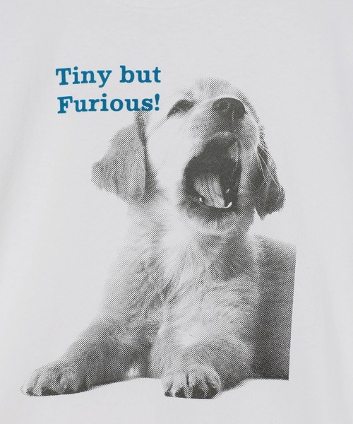 PBLIM(ページボーイリム)の「《UNISEX》シャウトアニマルT(Tシャツ/カットソー・レディース・グレー系2/グレー系1/ホワイト系2/ホワイト系1・FREE)」の18枚目の写真