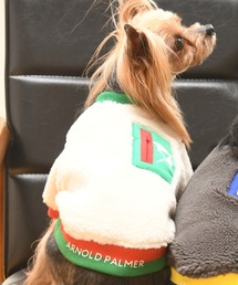 53849056b_1_d_215.jpg