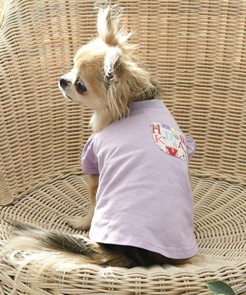 LAURA ASHLEY（ローラアシュレイ）の「LAURA ASHLEY/ドッグシャツ小型犬サイズ（ペットウェア・レディース・ホワイト/グレー/ライトグリーン/ネイビー/ピンク/パープル・3L/2XS/M/2L/S/2M/L/XS）」の5枚目の写真