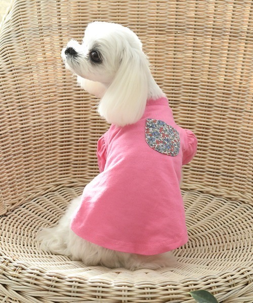 LAURA ASHLEY（ローラアシュレイ）の「LAURA ASHLEY/ドッグシャツ小型犬サイズ（ペットウェア・レディース・ホワイト/グレー/ライトグリーン/ネイビー/ピンク/パープル・3L/2XS/M/2L/S/2M/L/XS）」の6枚目の写真
