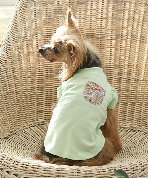 LAURA ASHLEY（ローラアシュレイ）の「LAURA ASHLEY/ドッグシャツ小型犬サイズ（ペットウェア・レディース・ホワイト/グレー/ライトグリーン/ネイビー/ピンク/パープル・3L/2XS/M/2L/S/2M/L/XS）」の3枚目の写真