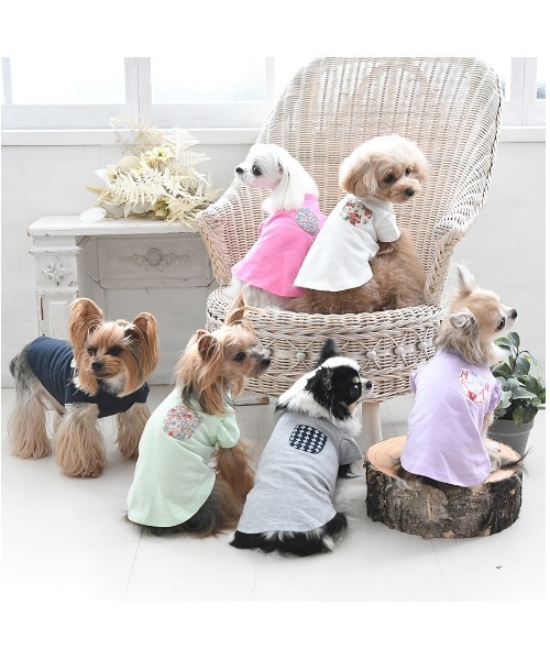 LAURA ASHLEY（ローラアシュレイ）の「LAURA ASHLEY/ドッグシャツ小型犬サイズ（ペットウェア・レディース・ホワイト/グレー/ライトグリーン/ネイビー/ピンク/パープル・3L/2XS/M/2L/S/2M/L/XS）」の14枚目の写真
