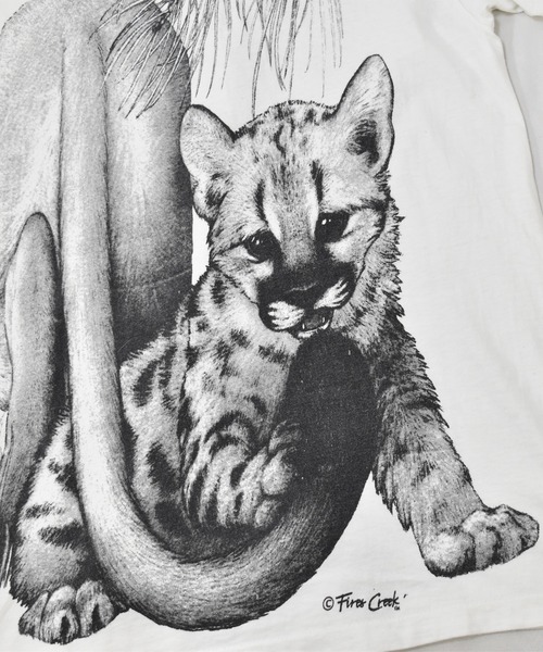 VINTAGE（ヴィンテージ）の「【ヴィンテージ古着】90's fires creek ライオン アニマルプリントTシャツ USA製（Tシャツ/カットソー・メンズ・ホワイト・LARGE）」の12枚目の写真
