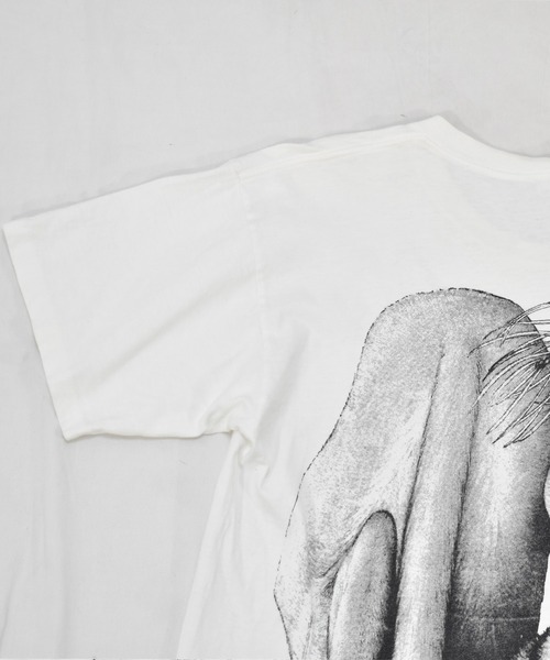 VINTAGE（ヴィンテージ）の「【ヴィンテージ古着】90's fires creek ライオン アニマルプリントTシャツ USA製（Tシャツ/カットソー・メンズ・ホワイト・LARGE）」の16枚目の写真