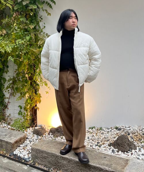 WaiKei(ワイケイ)の「ドルフィン刺繍ショートパディングスカイブルー(ダウンジャケット/コート・レディース・その他・1/2)」の6枚目の写真