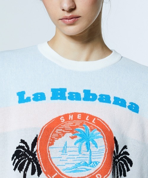 DOUBLE STANDARD CLOTHING（ダブルスタンダードクロージング）の「ハバナサンセット ジャガードニット（ニット/セーター・レディース・オフホワイト・FREE）」の6枚目の写真