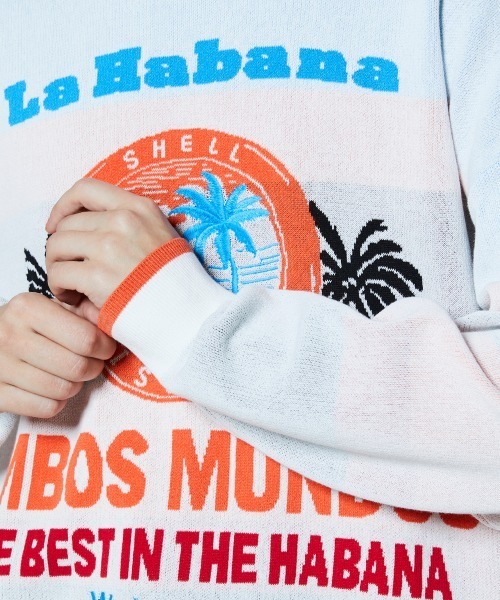 DOUBLE STANDARD CLOTHING（ダブルスタンダードクロージング）の「ハバナサンセット ジャガードニット（ニット/セーター・レディース・オフホワイト・FREE）」の12枚目の写真