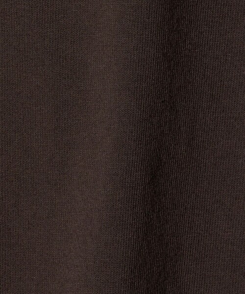 H　BEAUTY&YOUTH UNITED ARROWS（エイチビューティーアンドユースユナイテッドアローズ）の「＜H＞コットン ボリュームスリーブ プルオーバー（Tシャツ/カットソー・レディース・ライトグレー/ダークブラウン・FREE）」の10枚目の写真