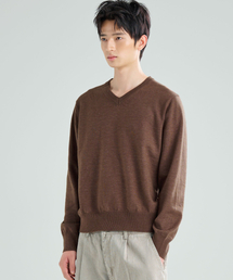 ZPLISH（ジプリシュ）の「プレーンVネックニットブラウン（ニット/セーター）」