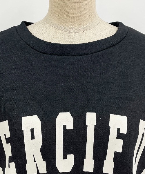 PICCIN(ピッチン)の「異素材切替フロントロゴプルオーバー(Tシャツ/カットソー・レディース・ブラック/グレイッシュベージュ・M/L)」の19枚目の写真