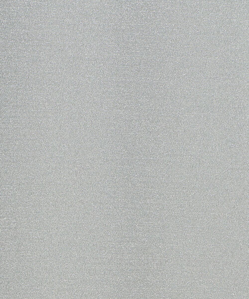 NOLLEY’S Sophi（ノーリーズソフィ）の「ラメジャージタイトスカート（スカート・レディース・シルバー・36/38）」の19枚目の写真