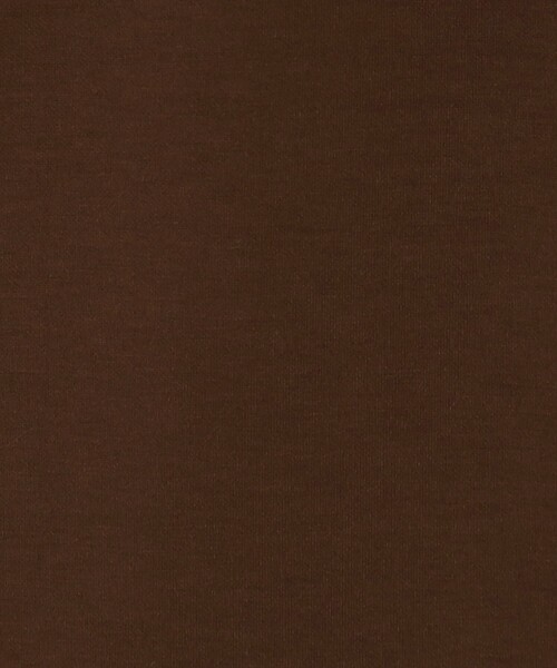 THE SHOP TK （ザ ショップ ティーケー ）の「◆【らくに決まる/2点SET】ジレ&ワイドパンツ/手洗い可（ベスト・レディース・ダークブラウン/ブラック/ライトベージュ・13/12）」の15枚目の写真