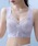 Lace Ladiesi[XfB[Xj́uVFu [X { mC[ u iCguiiCgujvbx_[