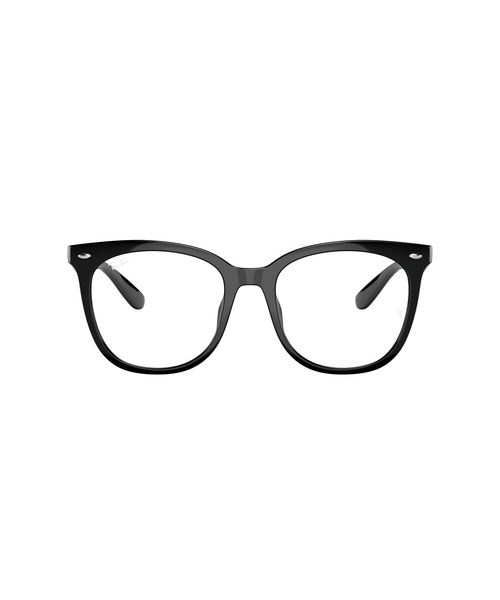 Ray-Ban(レイバン)の「Ray-Ban レイバン メガネフレーム RB4379V Optics(メガネ・メンズ・ブラック・ONE SIZE)」の5枚目の写真