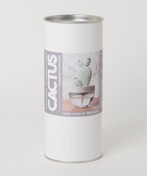 DULTON（ダルトン）の「CACTUS FRAGRANCE DIFFUSER/ カクタス フレグランス ディフューザー（ルームフレグランス/お香・メンズ・A/B/C・FREE）」の4枚目の写真