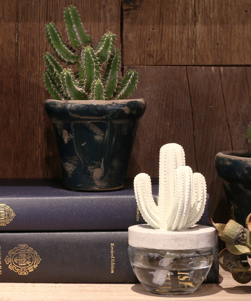 DULTON（ダルトン）の「CACTUS FRAGRANCE DIFFUSER/ カクタス フレグランス ディフューザー（ルームフレグランス/お香・メンズ・A/B/C・FREE）」の7枚目の写真