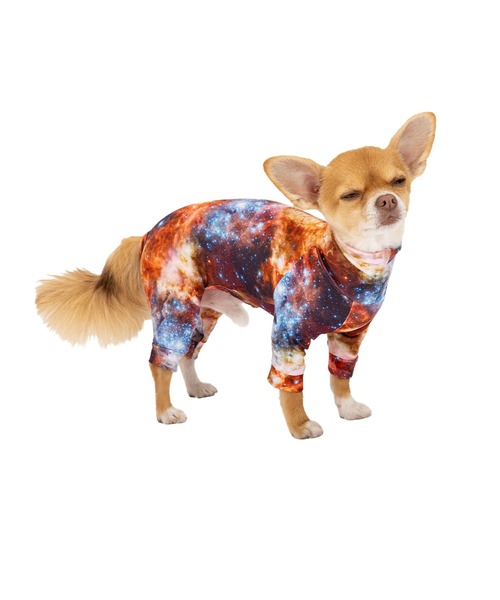 SKIN TIGHT SUIT MULTI PRINT（M.MD.L） スキンタイトスーツ