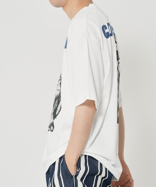 CORISCO（コリスコ）の「アニマルCOOL柄Tシャツ(M1)（Tシャツ/カットソー・メンズ・グレー系1/キナリ/ホワイト系2/グレー系2/オートミール/ホワイト系1・MEDIUM/LARGE/X-LARGE）」の12枚目の写真