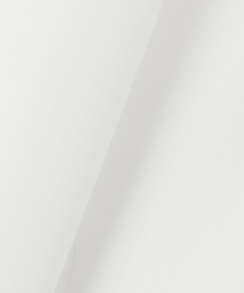 ANAYI（アナイ）の「オーガンジーツイストボウブラウス（シャツ/ブラウス・レディース・ホワイト/レッド/ベージュ/ネイビー・38/36）」の12枚目の写真