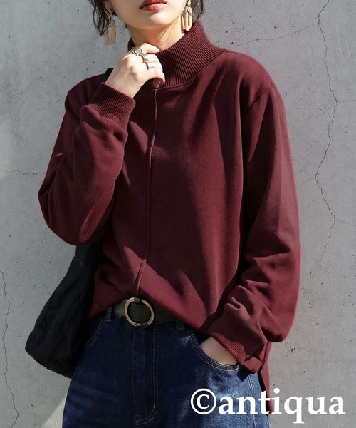 antiqua(アンティカ)の「モックネック プルオーバー(その他トップス・レディース・ブラック/グレー/ホワイト系その他/レッド/ウッド/ブラウン系その他/ベージュ・ONESIZE)」の7枚目の写真