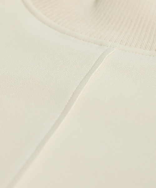 antiqua(アンティカ)の「モックネック プルオーバー(その他トップス・レディース・ブラック/グレー/ホワイト系その他/レッド/ウッド/ブラウン系その他/ベージュ・ONESIZE)」の12枚目の写真